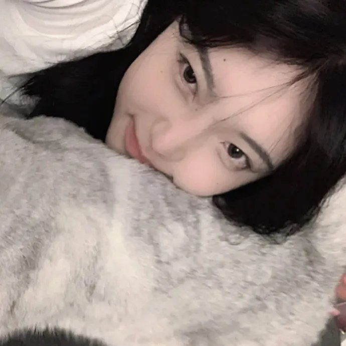 新沙洞燕子